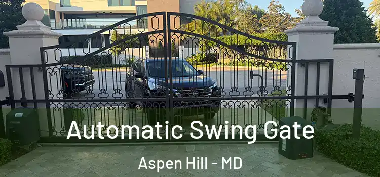 Automatic Swing Gate Aspen Hill - MD