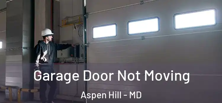  Garage Door Not Moving Aspen Hill - MD